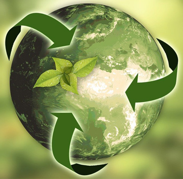 ¿Es posible tener un negocio rentable y preocupado por el medio ambiente?